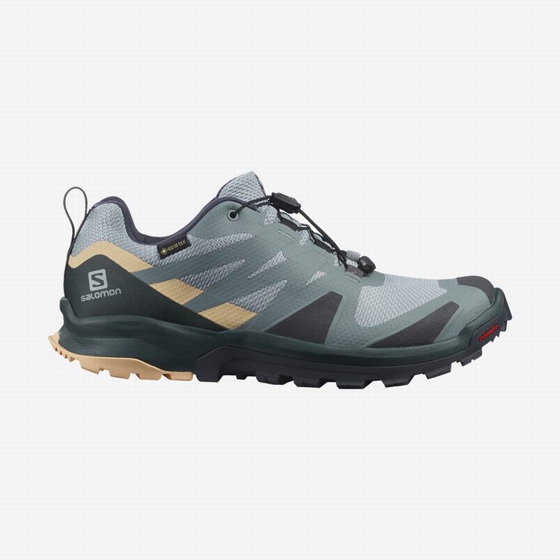 Salomon Trail Løbesko Dame Grøn / Hvide - XA ROGG GTX W (JITZE-8429)